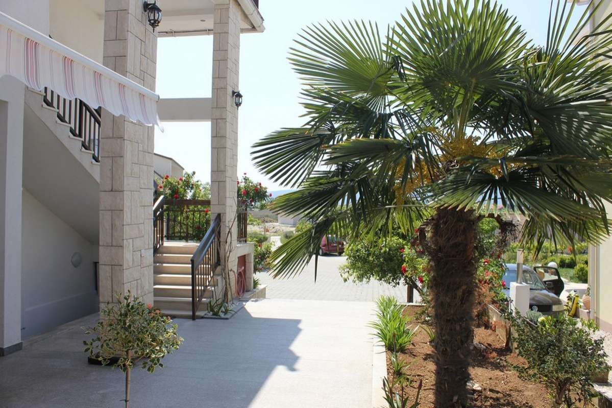 Apartment 3 - 